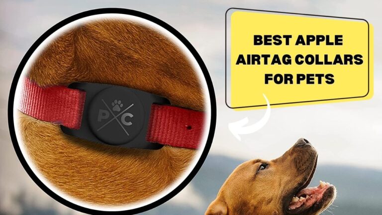 5 Best Apple Airtag Collars For Pets in 2024